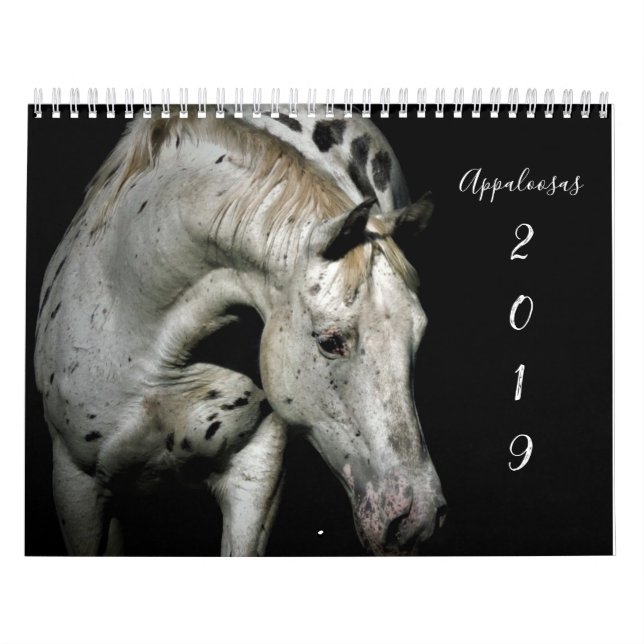 Appaloosa Calendar (Cover)