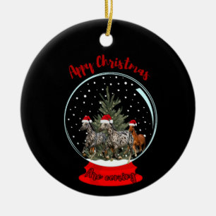 Appaloosa Christmas Ceramic Tree Decoration