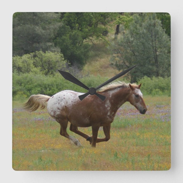 Appaloosa Clock (Front)