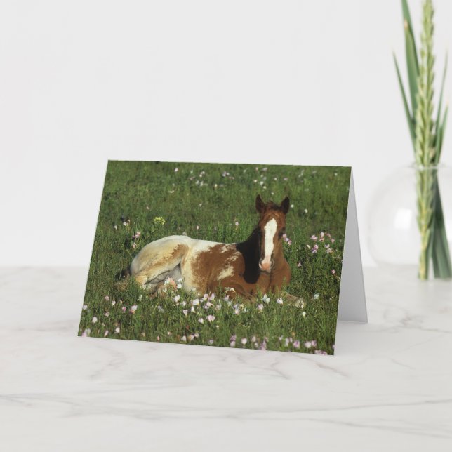 Appaloosa Foal Laying Down in Flowers Card (Front)