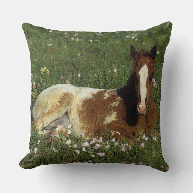 Appaloosa Foal Laying Down in Flowers Cushion (Front)