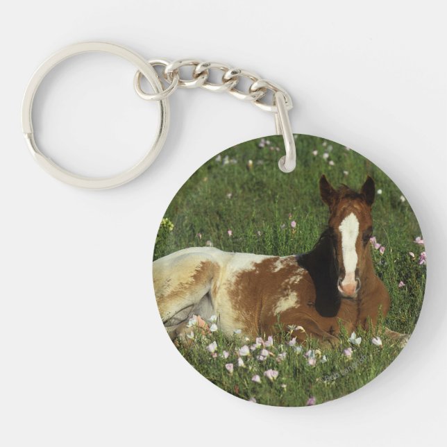 Appaloosa Foal Laying Down in Flowers Key Ring (Front)