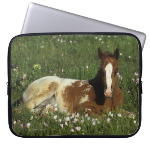 Appaloosa Foal Laying Down in Flowers Laptop Sleeve