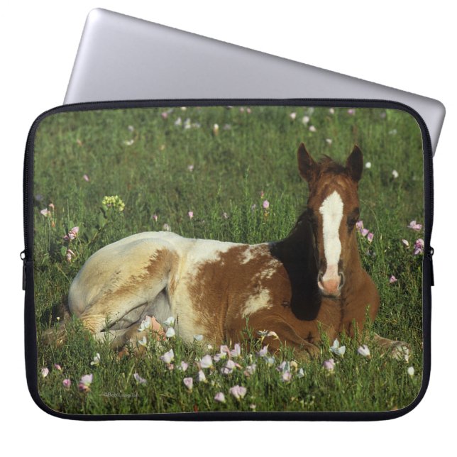 Appaloosa Foal Laying Down in Flowers Laptop Sleeve (Front)