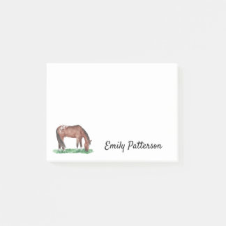 Appaloosa Grazing Horse Post-it Notes