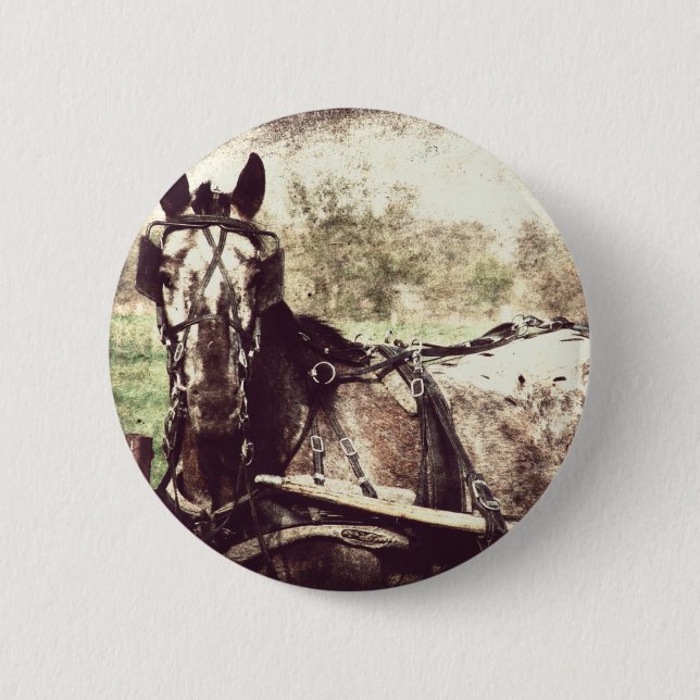 Appaloosa Horse 6 Cm Round Badge (Front)