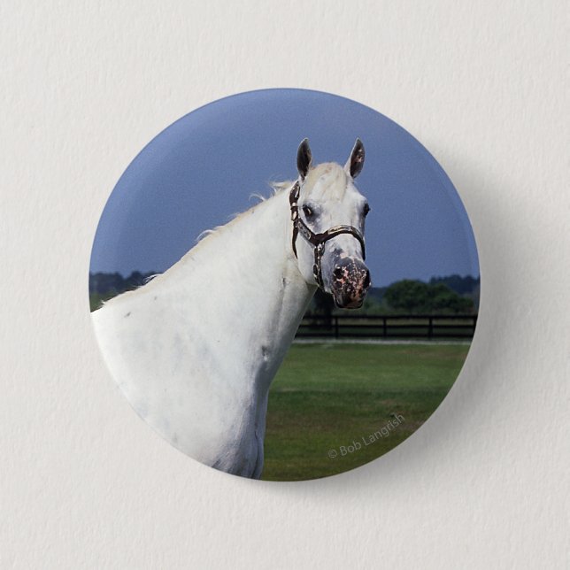 Appaloosa Horse 6 Cm Round Badge (Front)
