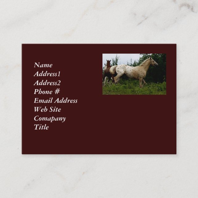 Appaloosa Horse Business Card (Front)