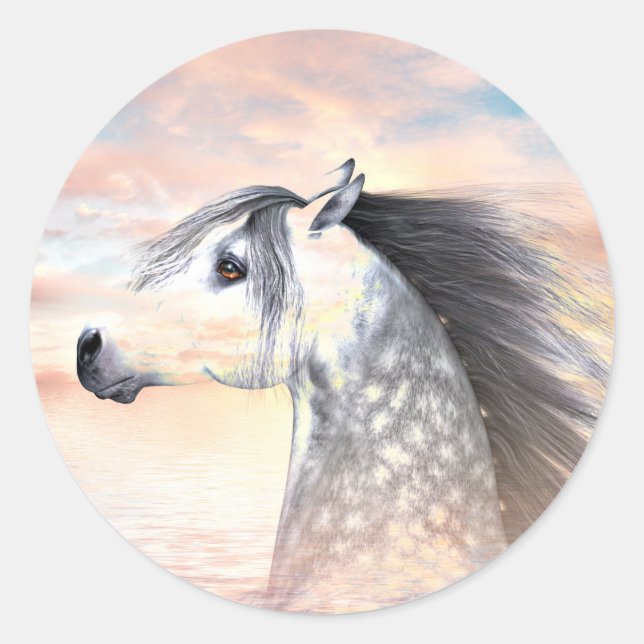 Appaloosa horse classic round sticker (Front)