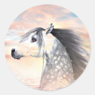 Appaloosa horse classic round sticker