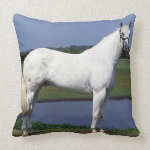 Appaloosa Horse Cushion