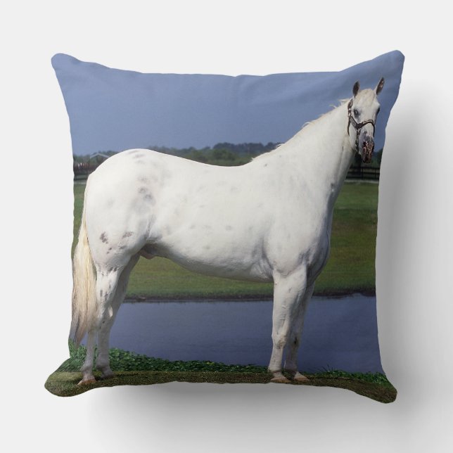Appaloosa Horse Cushion (Front)