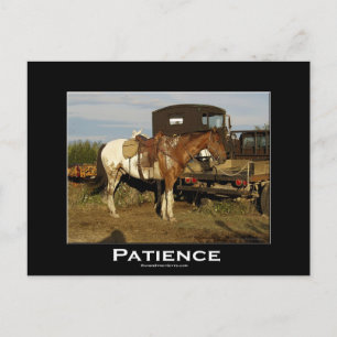 Appaloosa Horse Equine Motivational Art Card