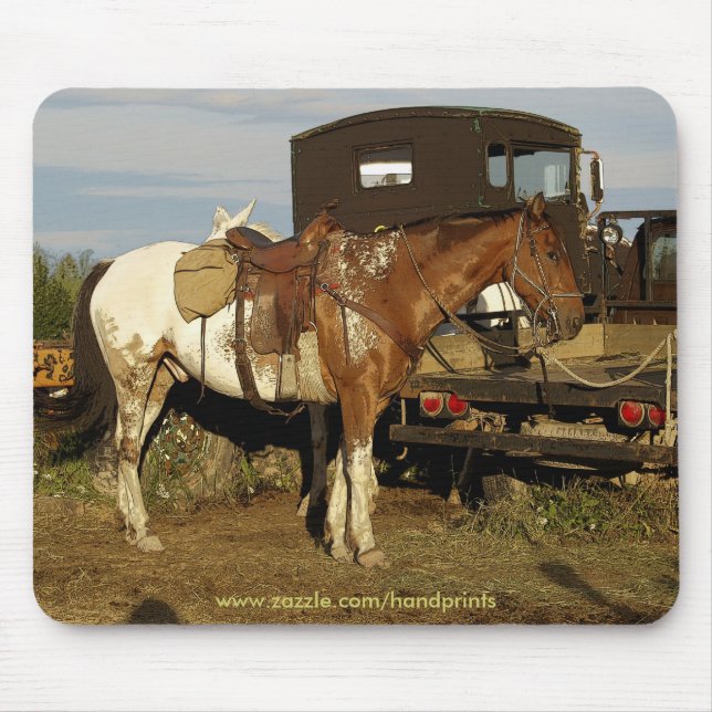 Appaloosa Horse Equine Western Design Mouse Mat (Front)