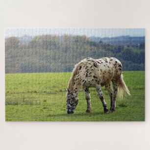Appaloosa Horse grazing in a field Jigsaw Puzzle