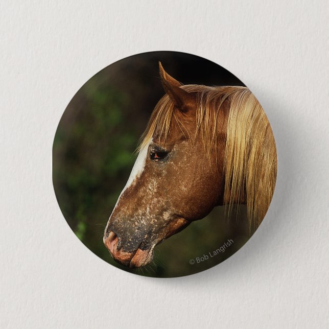 Appaloosa Horse Headshot 1 6 Cm Round Badge (Front)