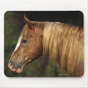 Appaloosa Horse Headshot 1 Mouse Mat
