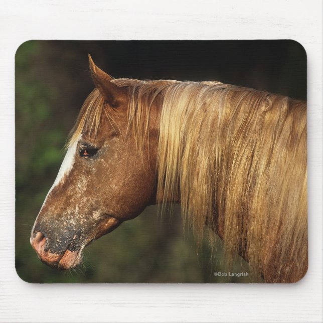 Appaloosa Horse Headshot 1 Mouse Mat (Front)