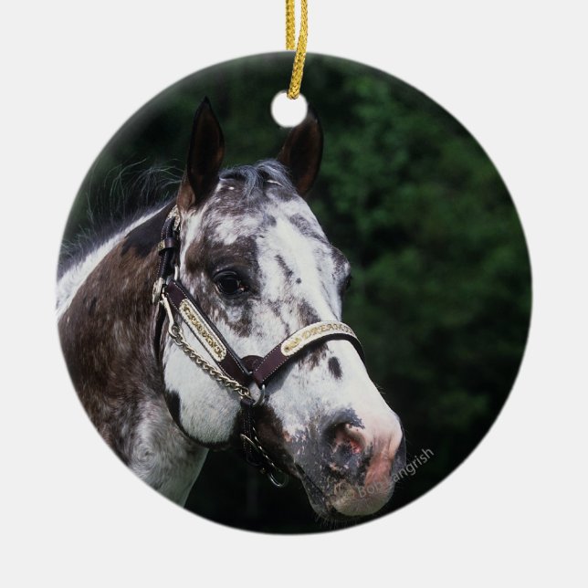 Appaloosa Horse Headshot 2 Ceramic Tree Decoration (Front)