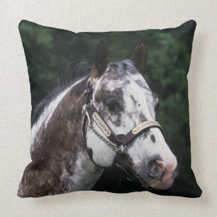 Appaloosa Horse Headshot 2 Cushion