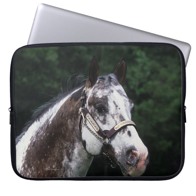 Appaloosa Horse Headshot 2 Laptop Sleeve (Front)