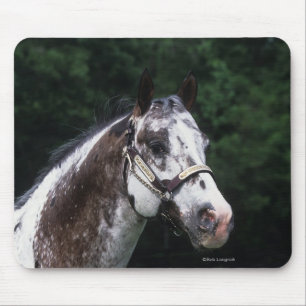 Appaloosa Horse Headshot 2 Mouse Mat