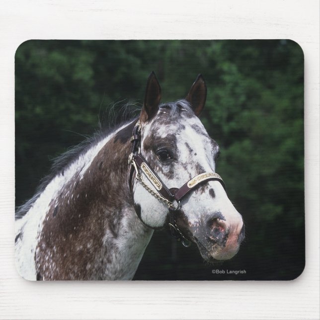 Appaloosa Horse Headshot 2 Mouse Mat (Front)