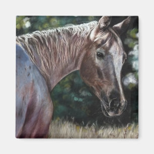 Appaloosa horse in a field magnet