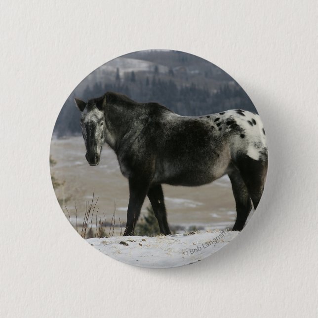 Appaloosa Horse in the Snow 6 Cm Round Badge (Front)