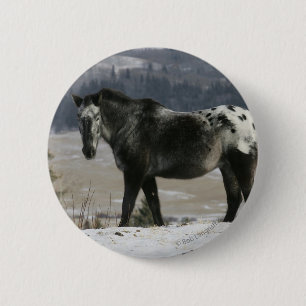 Appaloosa Horse in the Snow 6 Cm Round Badge
