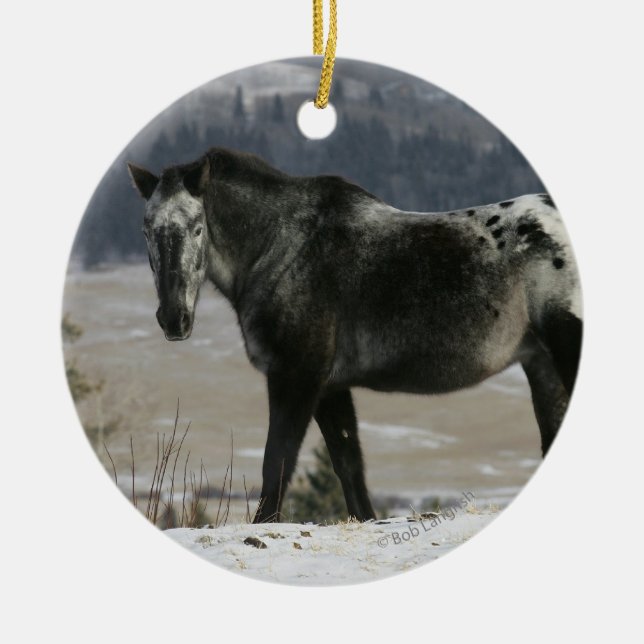 Appaloosa Horse in the Snow Ceramic Tree Decoration (Front)