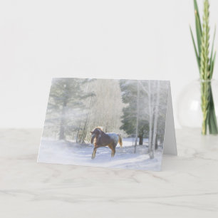 Appaloosa Horse in the snow Holiday Card