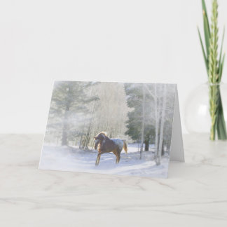Appaloosa Horse in the snow Holiday Card