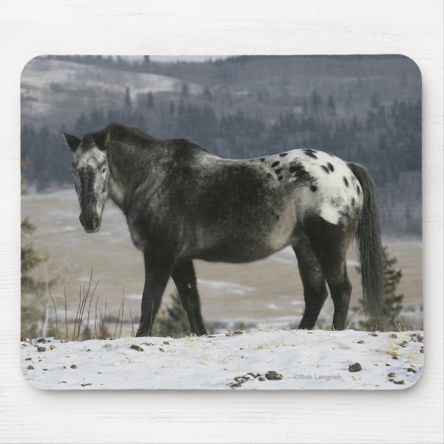 Appaloosa Horse in the Snow Mouse Mat (Front)