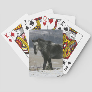 Appaloosa Horse in the Snow Playing Cards
