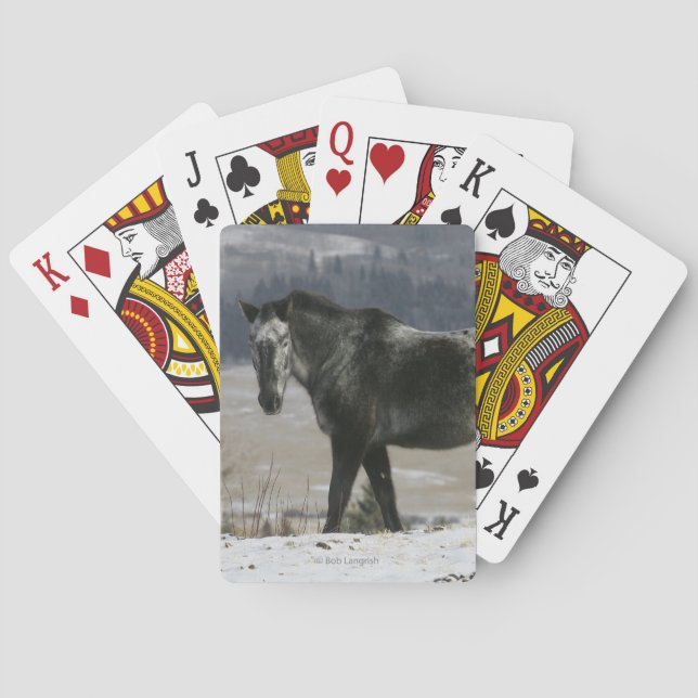 Appaloosa Horse in the Snow Playing Cards (Back)