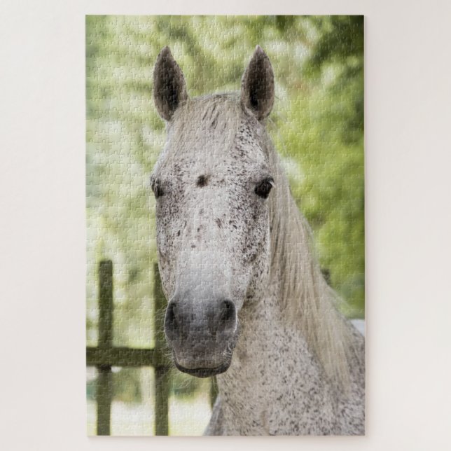 Appaloosa Horse Jigsaw Puzzle (Vertical)