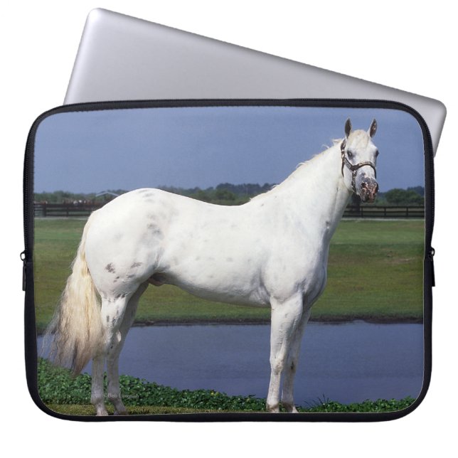 Appaloosa Horse Laptop Sleeve (Front)