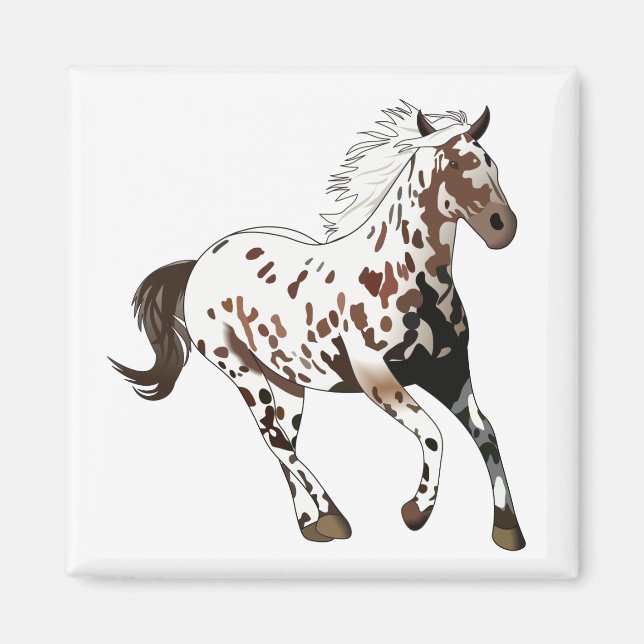 Appaloosa Horse Magnet (Front)