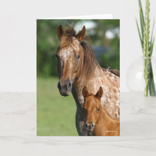 Appaloosa Horse Mare and Foal Headshot Card