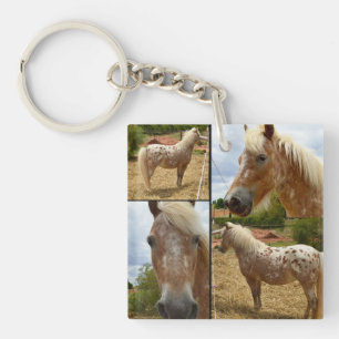 Appaloosa Horse Photo Collage, Key Ring