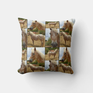 Appaloosa Horse, Photo Collage Throw Cushion. Cushion