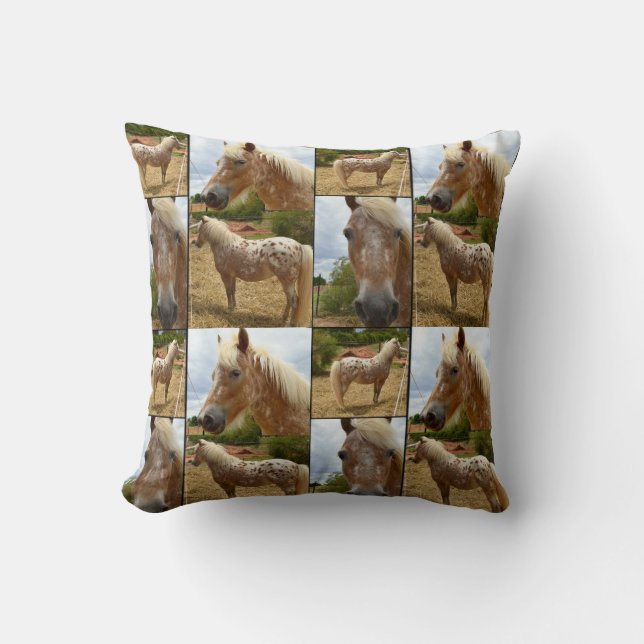 Appaloosa Horse, Photo Collage Throw Cushion. Cushion (Front)