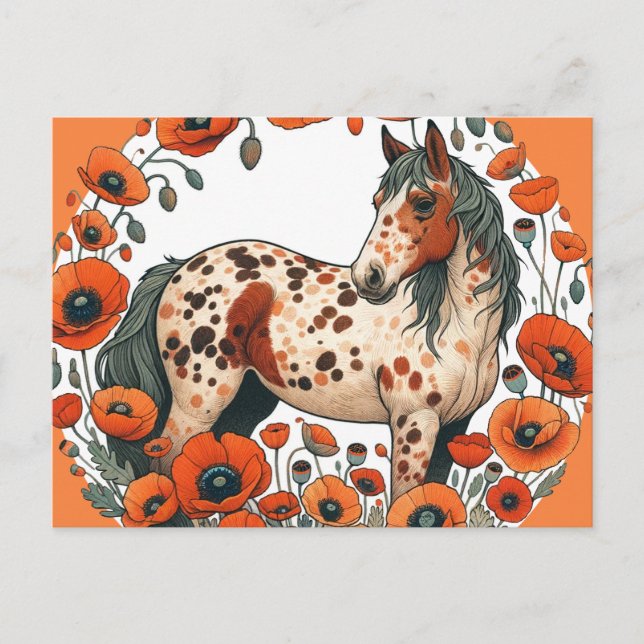 Appaloosa Horse Poppy Appy Horses                  Postcard (Front)