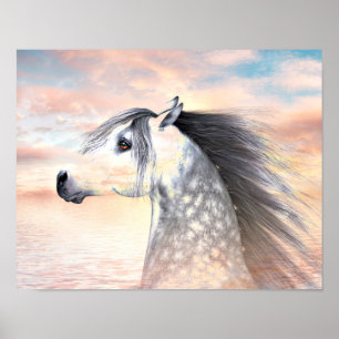 Appaloosa horse poster