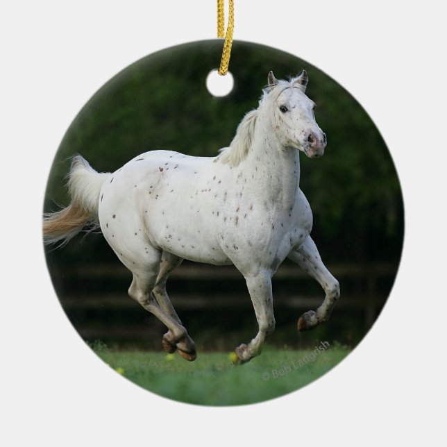 Appaloosa Horse Running 1 Ceramic Tree Decoration (Front)