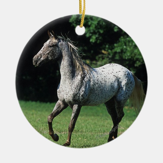 Appaloosa Horse Running 2 Ceramic Tree Decoration (Front)