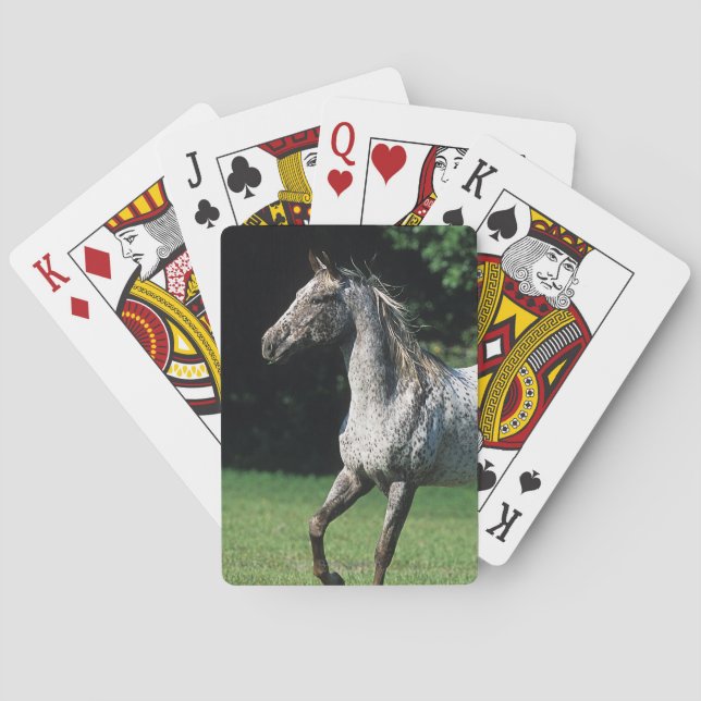 Appaloosa Horse Running 2 Playing Cards (Back)