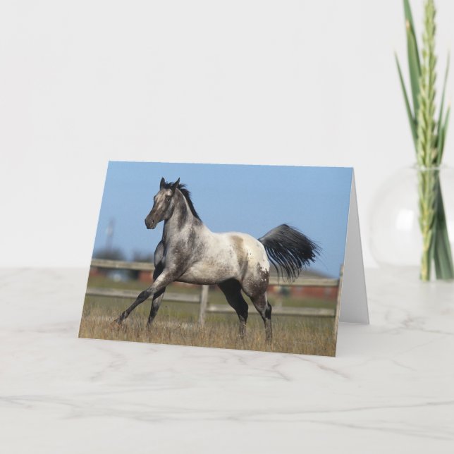 Appaloosa Horse Running 3 Card (Front)
