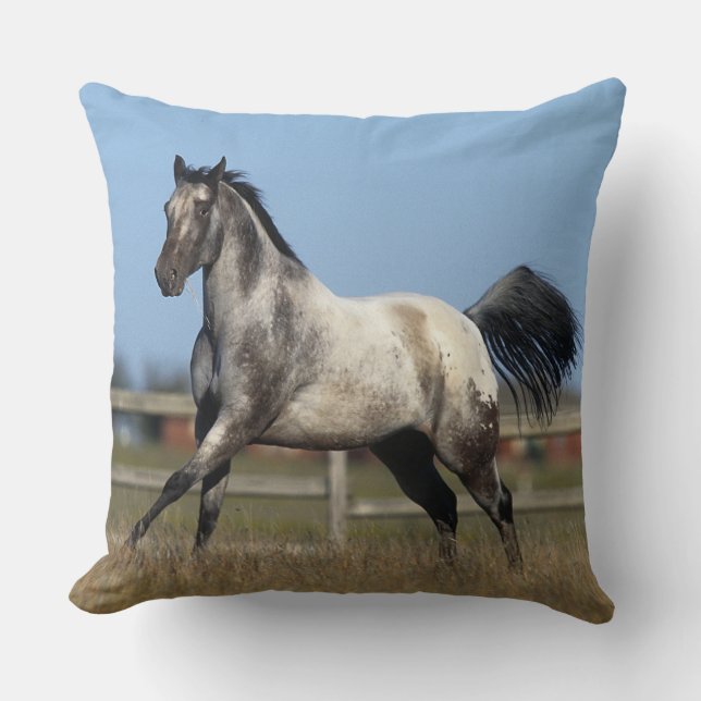 Appaloosa Horse Running 3 Cushion (Front)